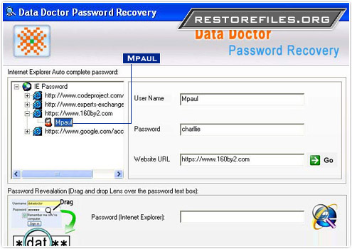 Internet Explorer Password Restore